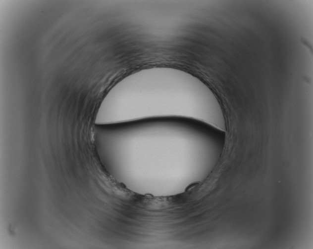 X0000103500384200809121017