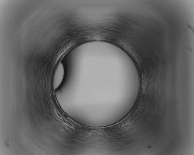 X0000103500386200809121017