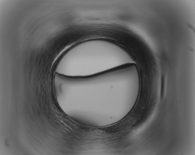 X0000103500387200809121017
