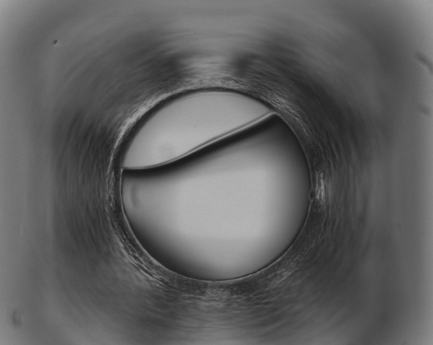 X0000103500388200809121017