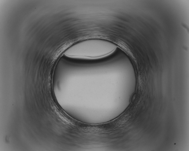 X0000103500389200809121017