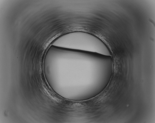 X0000103500390200809121017