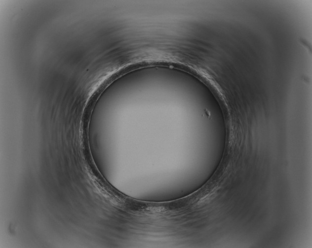 X0000103500391200809121017