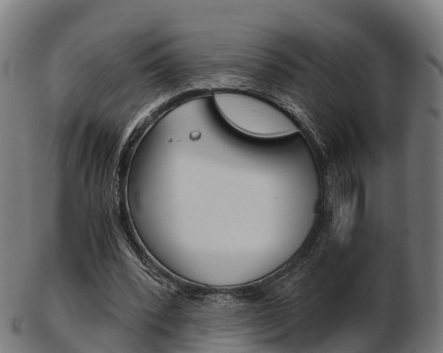 X0000103500392200809121017