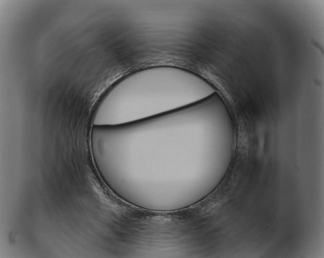 X0000103500394200809121017