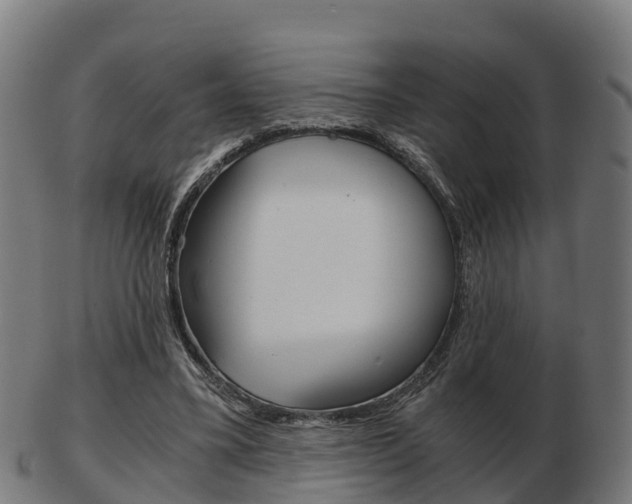 X0000103500395200809121017