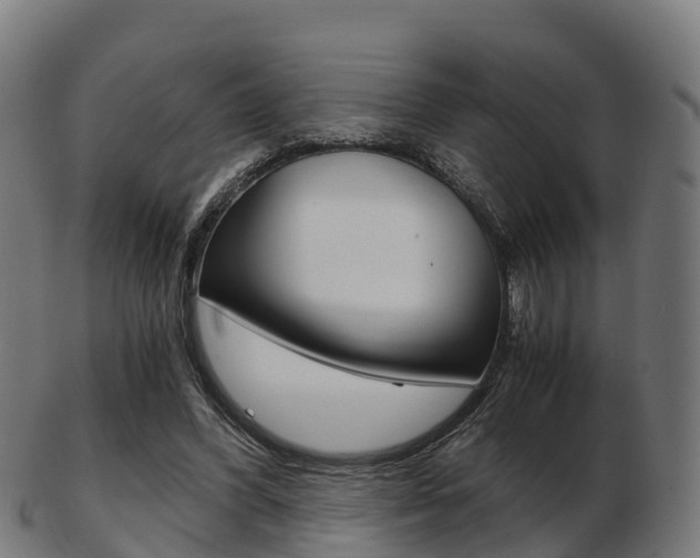 X0000103500396200809121017