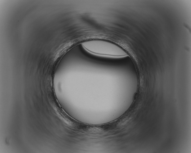X0000103500397200809121017