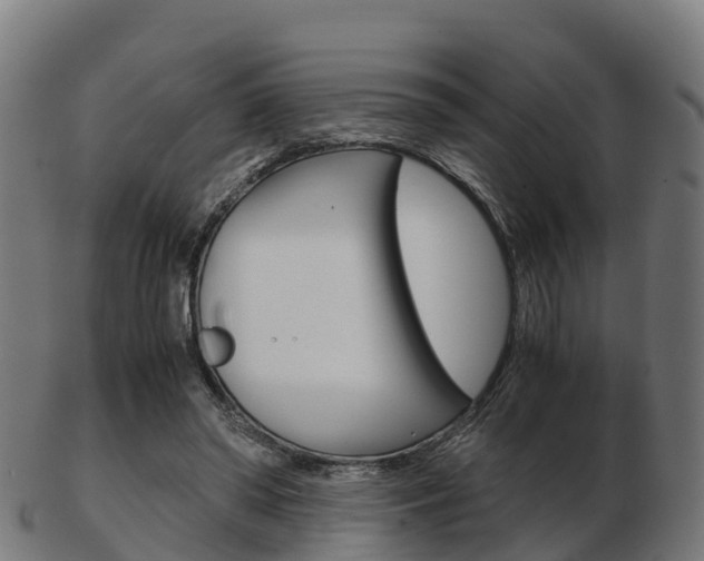 X0000103500398200809121017