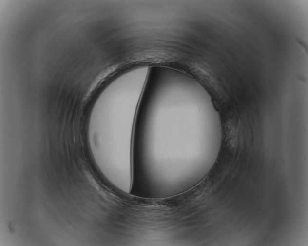 X0000103500400200809121017