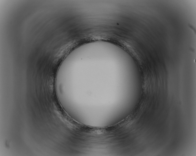 X0000103500402200809121017
