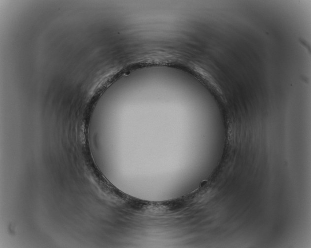 X0000103500403200809121017