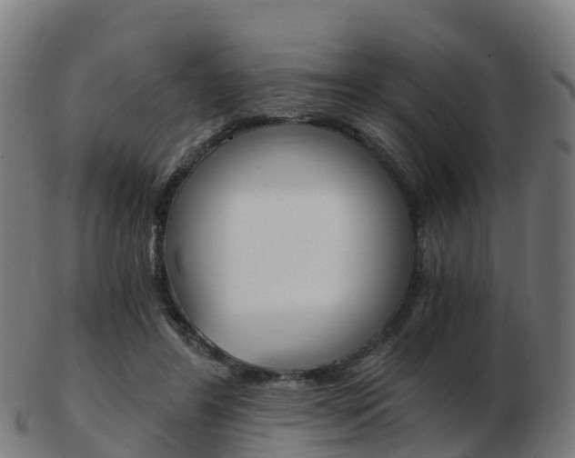 X0000103500404200809121017