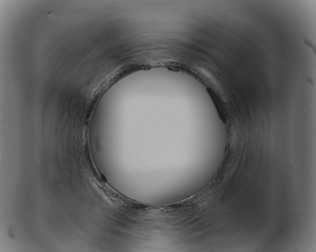 X0000103500405200809121017