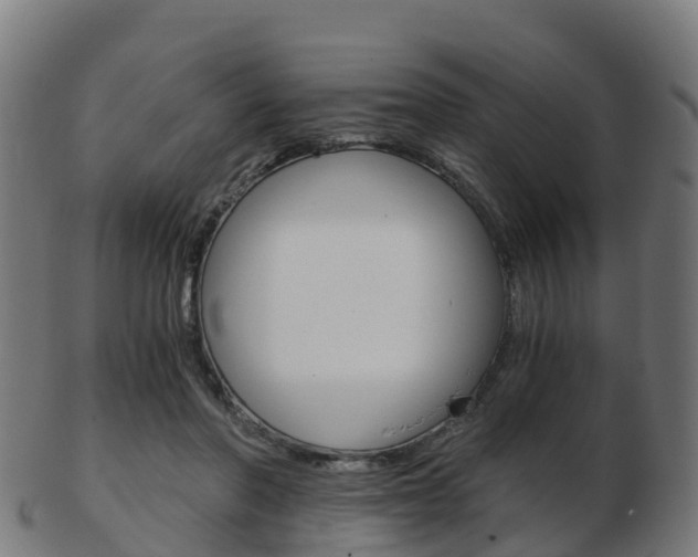 X0000103500406200809121017