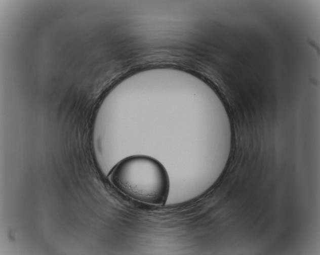 X0000103500411200809121016