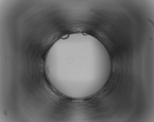 X0000103500414200809121016