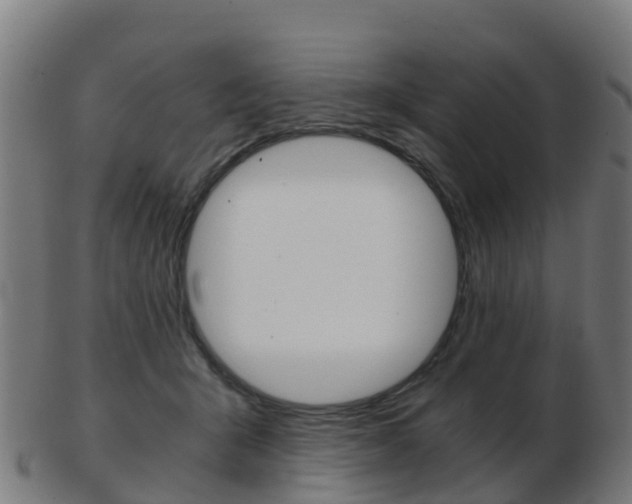 X0000103500415200809121016