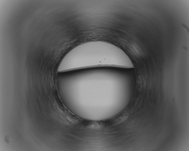 X0000103500416200809121016