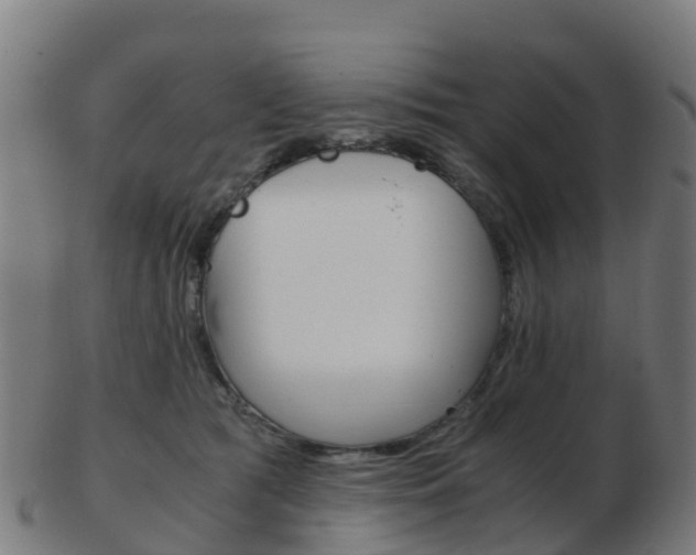 X0000103500417200809121016