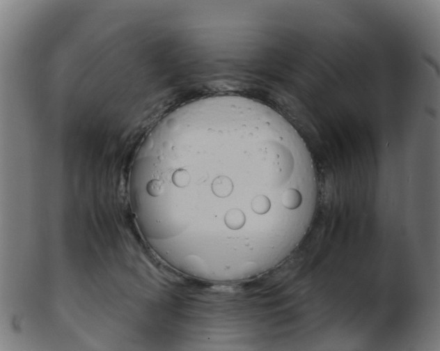 X0000103500418200809121016