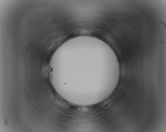 X0000103500419200809121016