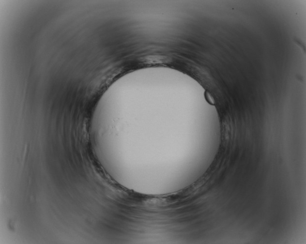 X0000103500422200809121016