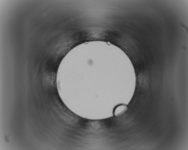 X0000103500423200809121016