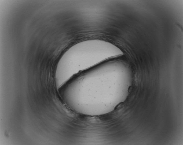 X0000103500424200809121016