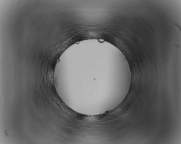X0000103500425200809121016