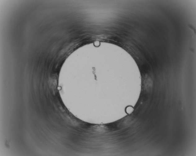 X0000103500427200809121016