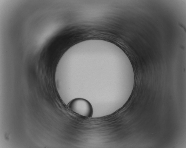 X0000103500429200809121016