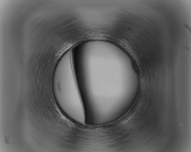 X0000103500433200809121015