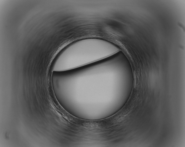 X0000103500435200809121016