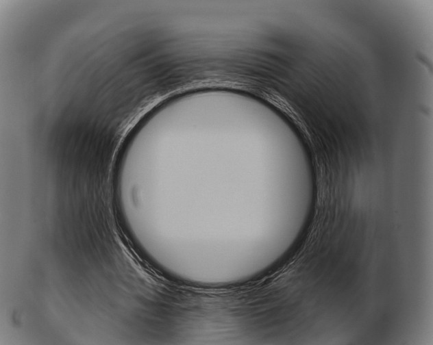 X0000103500436200809121016