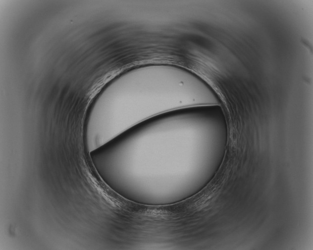 X0000103500437200809121016