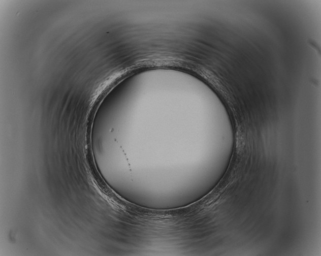 X0000103500438200809121016