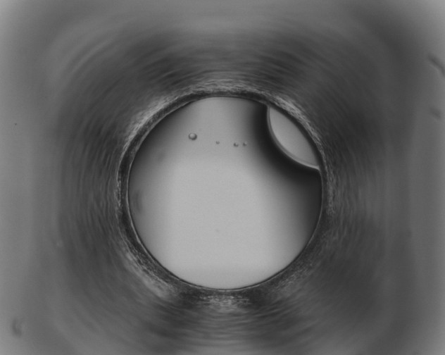 X0000103500439200809121016