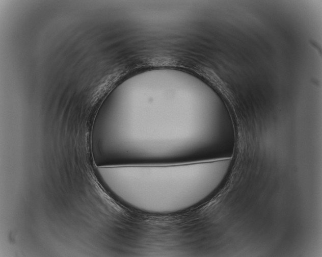 X0000103500441200809121016