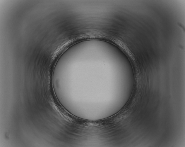 X0000103500442200809121016