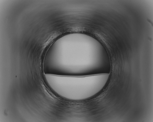 X0000103500443200809121016
