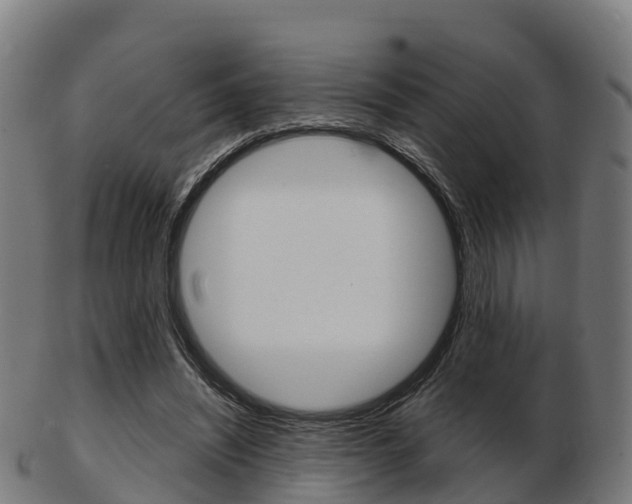 X0000103500444200809121016
