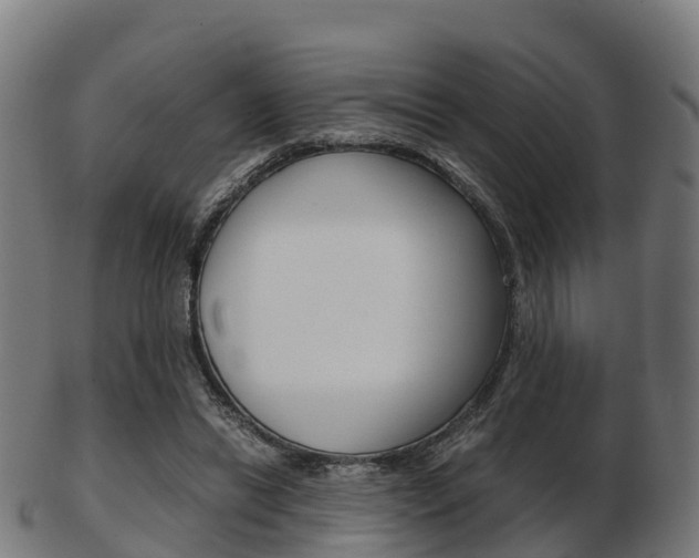 X0000103500446200809121016