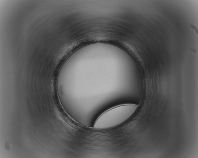 X0000103500447200809121016
