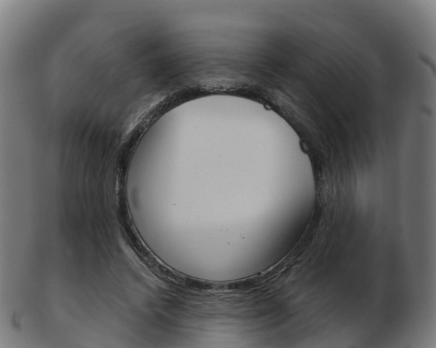 X0000103500448200809121016