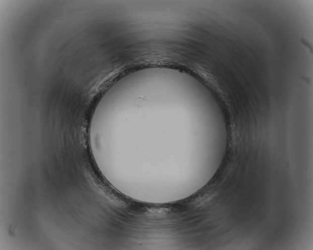 X0000103500450200809121016