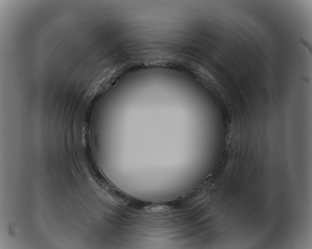 X0000103500452200809121016