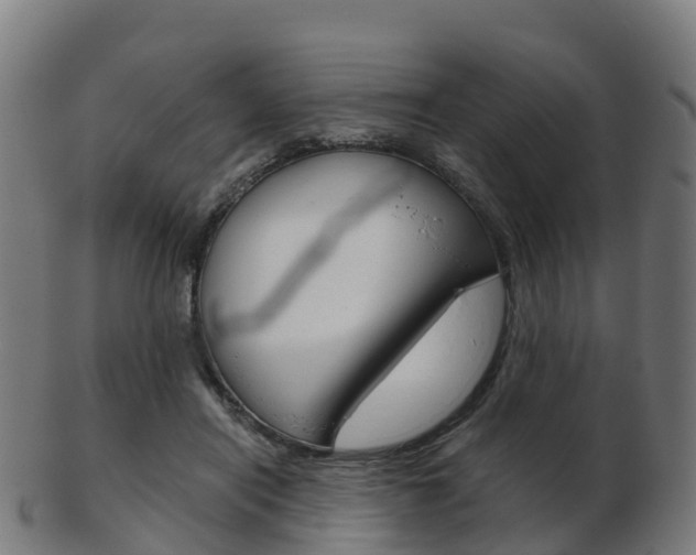 X0000103500454200809121016