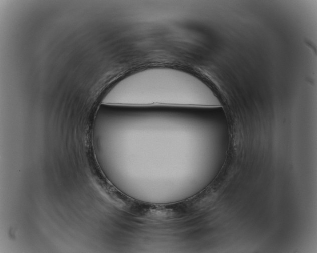 X0000103500455200809121016