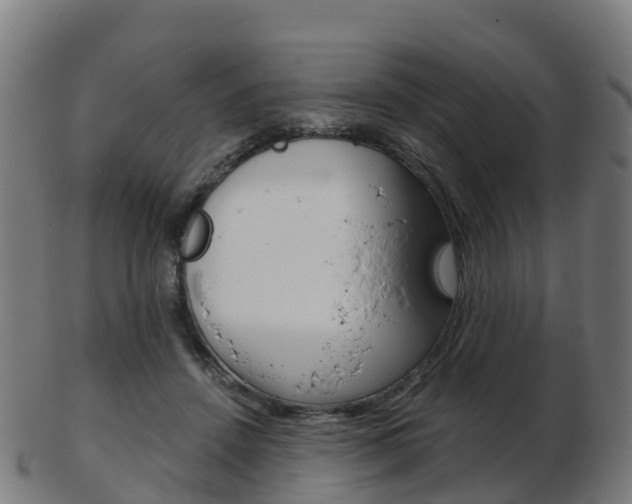 X0000103500456200809121016